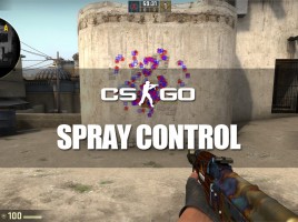 Recoil and spray control guide